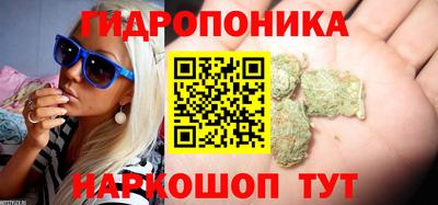 ешки Лесосибирск