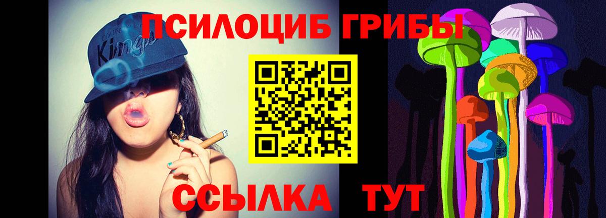 Галлюциногенные грибы MAGIC MUSHROOMS  Вход с VPN  Чусовой 